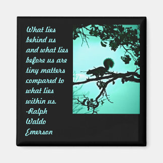 Was darin liegt magnet