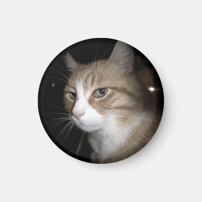 Was denkt er? magnet (Vorne)