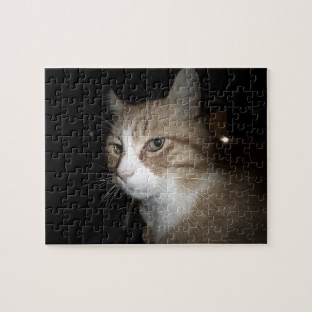 Was denkt er? puzzle (Horizontal)