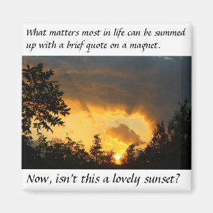 Was der meiste Magnet von Bedeutung ist