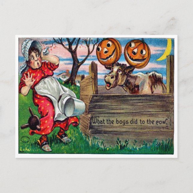 Was die Jungen mit der Kühe auf der Postkarte gema (Vorderseite)