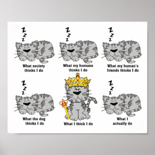 Was die Katze für lustig hält Poster