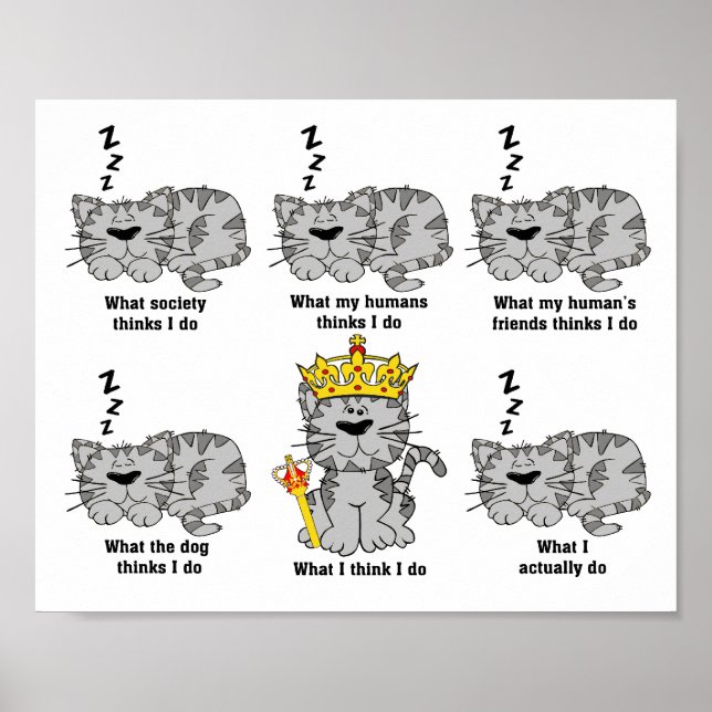 Was die Katze für lustig hält Poster (Vorne)