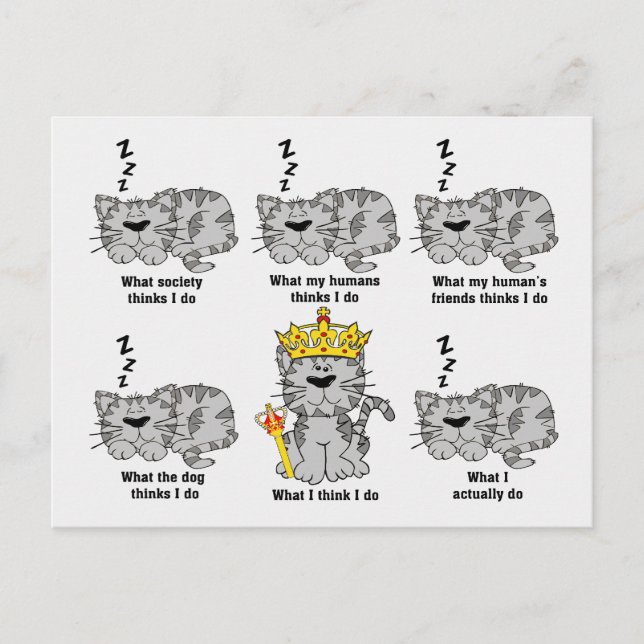 Was die Katze für lustig hält Postkarte (Vorderseite)