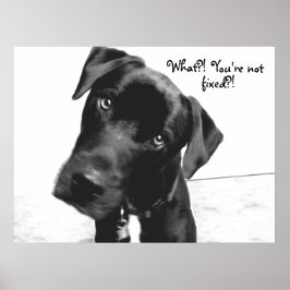 Was? Du bist nicht, repariert?! Poster