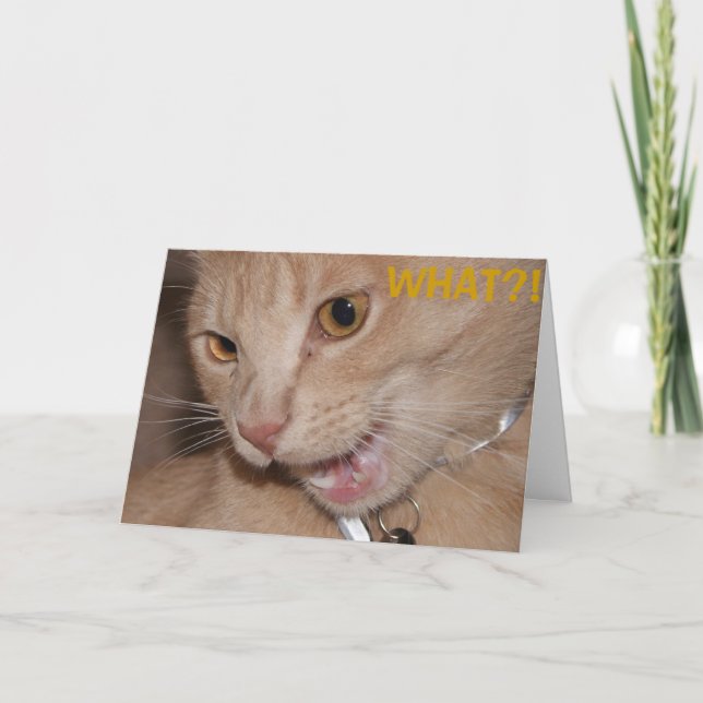 WAS?! Du bist so alt?! Karte (Vorderseite)