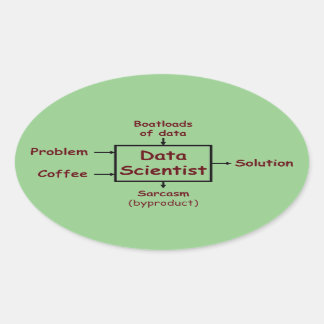 Was ein Datenwissenschaftler den ganzen Tag macht Ovaler Aufkleber