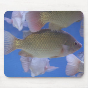 Was für Abendessen? Mousepad