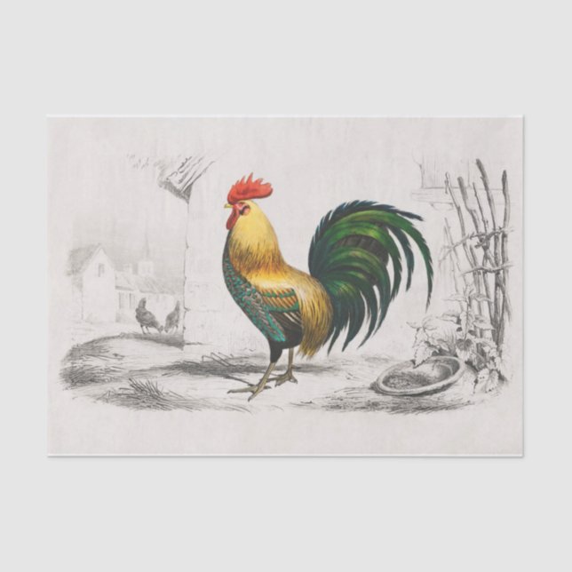 Was für ein Ausweg! Royal Rooster in Cocky Pose Seidenpapier (Vorderseite)