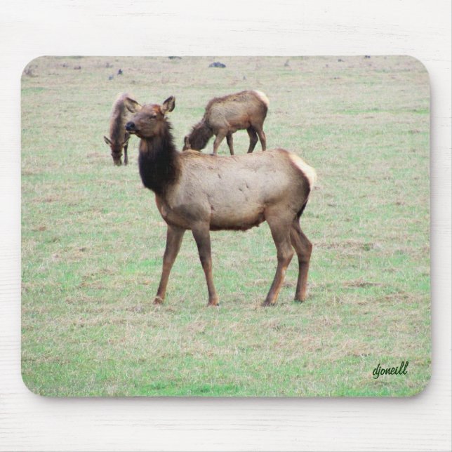 Was für ein Elch siehst du an? Mousepad (Vorne)