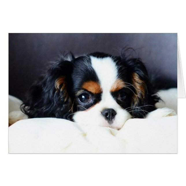 Was für ein Gesicht (Vorderseite (Horizontal))