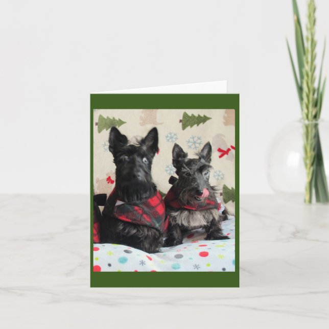 Was für ein Rentier? Karte (Vorderseite)