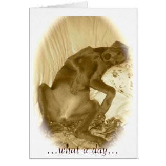 ...was für ein Tag...