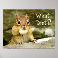 Was für eine Diät? Chipmunk Poster