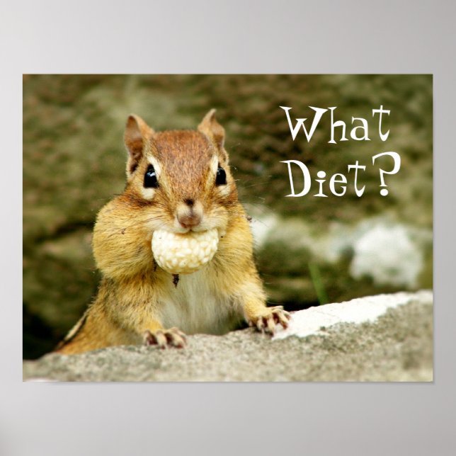 Was für eine Diät? Chipmunk Poster (Vorne)