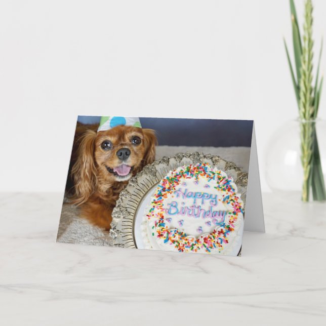 Was für eine Diät? Karte (Vorderseite)