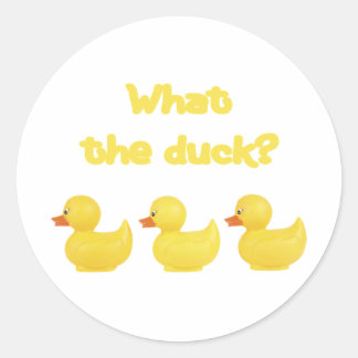 Was für eine Ente? Runder Aufkleber