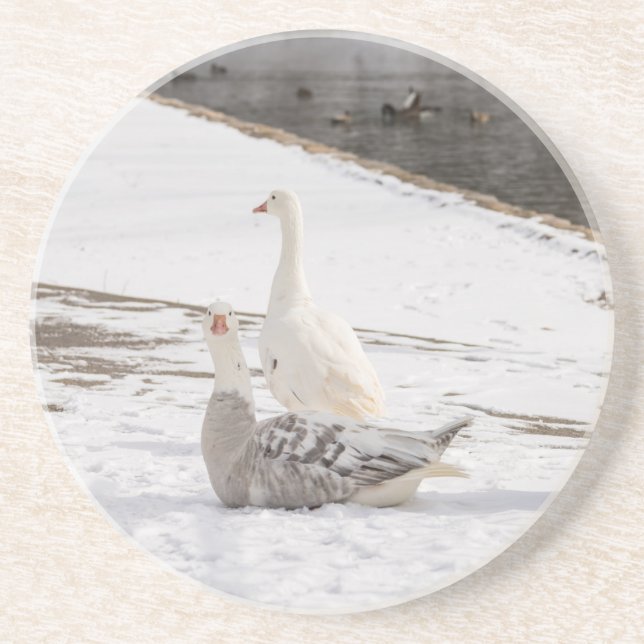 Was für eine Gans Getränkeuntersetzer (Vorne)