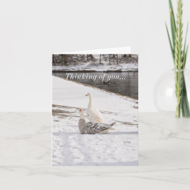 Was für eine Gans Karte (Vorderseite)