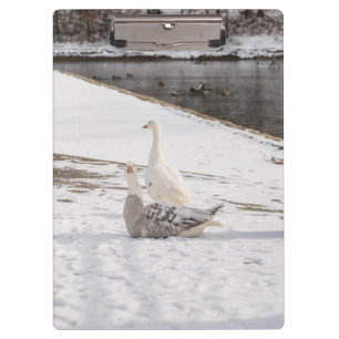 Was für eine Gans Klemmbrett