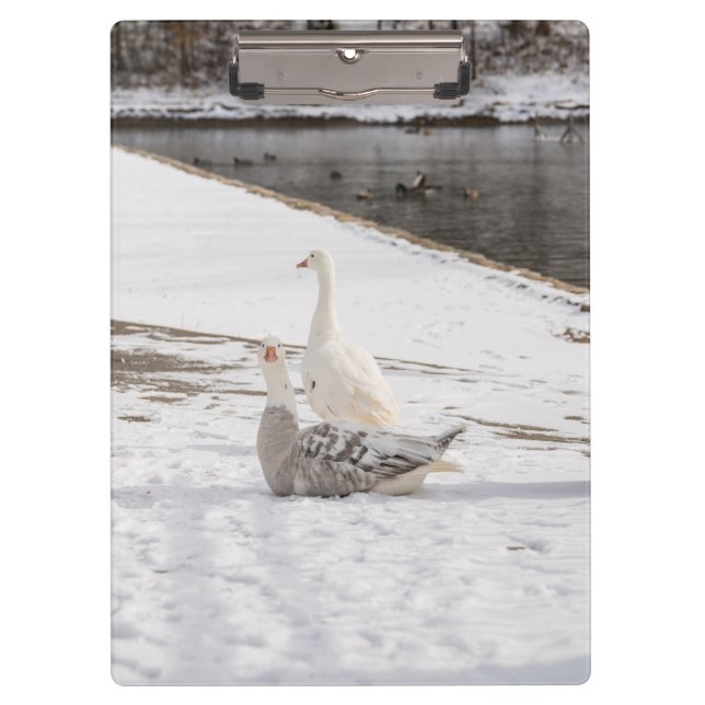 Was für eine Gans Klemmbrett (Vorderseite)