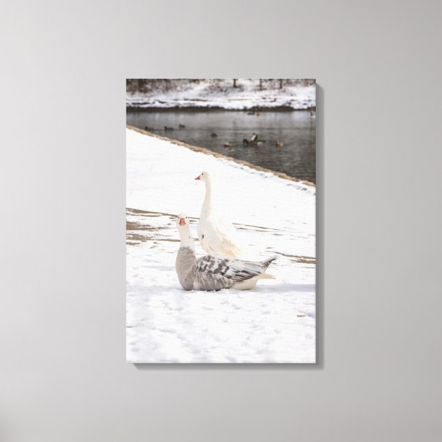 Was für eine Gans Leinwanddruck (Vorderseite)