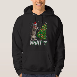 Was für eine lustige Katze, die über Cat Xma Weihn Hoodie
