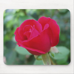 Was für eine Phantastische Rose Mousepad