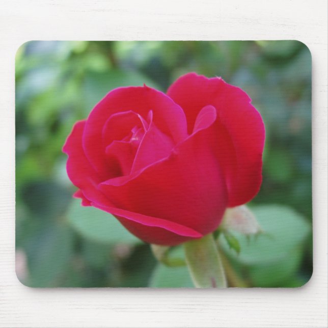 Was für eine Phantastische Rose Mousepad (Vorne)