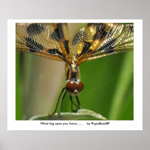 Was für große Augen du hast...... ... Poster