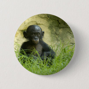 Was geht? DArcy Evans Foto Button