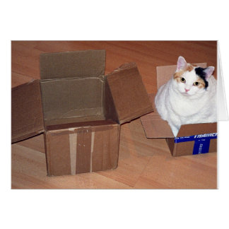 Was gemein, dass ich eine größere Größe brauche?