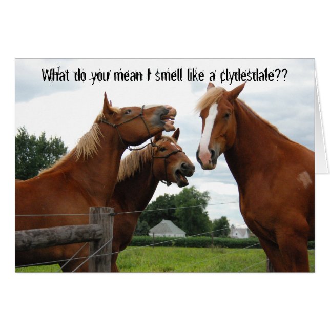 Was gemein rieche ich wie eine Clydesdale-Karte? (Vorderseite (Horizontal))