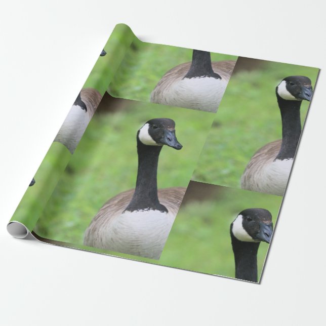 Was Geschenkpapier (Ungerollt)