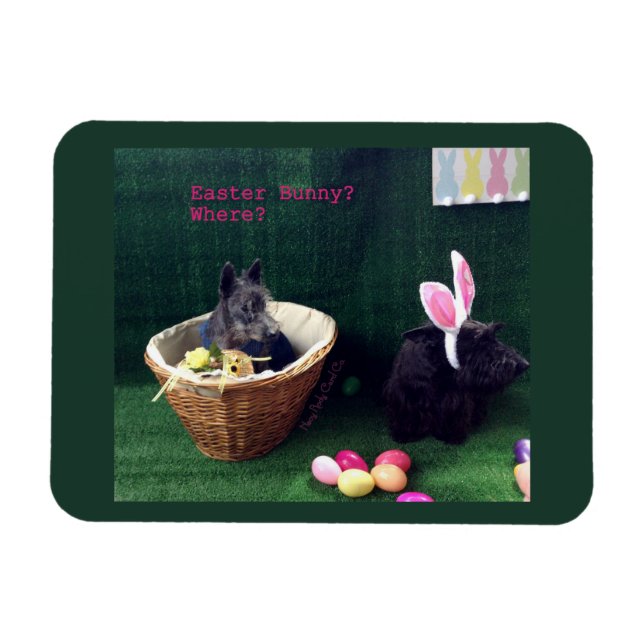 Was Hasen Magnet (Horizontal)