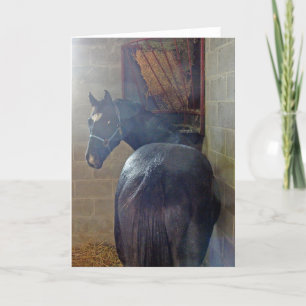 Was hat Ya Gewollt? Karte