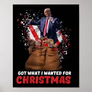 Was ich zu Weihnachten Gewollt habe - Trump hat 20 Poster