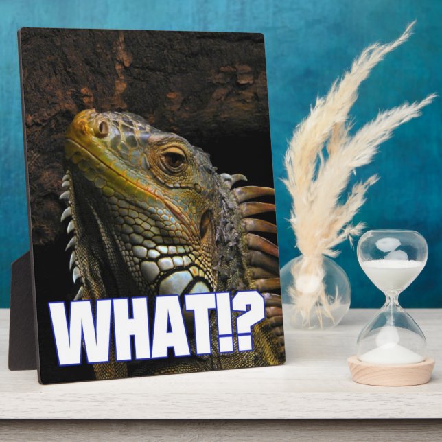 Was? Iguana Fotoplatte (Seite)