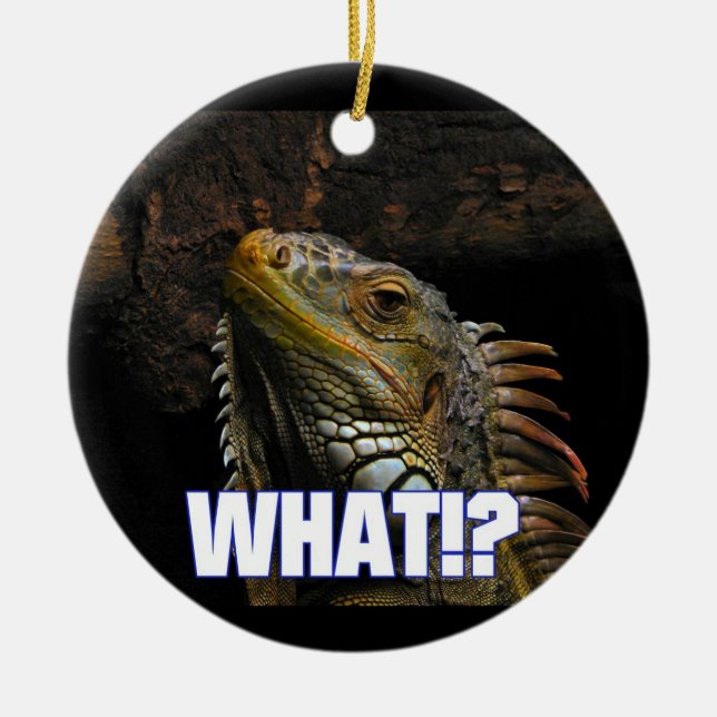 Was? Iguana Keramik Ornament (Vorne)