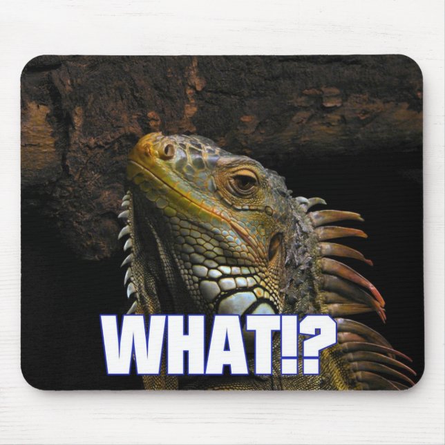 Was? Iguana Mousepad (Vorne)