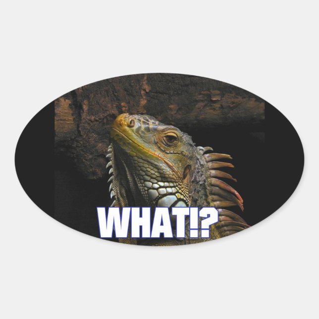 Was? Iguana Ovaler Aufkleber (Vorderseite)