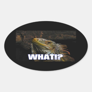 Was? Iguana Ovaler Aufkleber