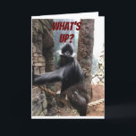 WAS IST AM BESTEN FÜR DEIN ALTER? ** 60.** BIRTHTA KARTE<br><div class="desc">AUF IHNEN AM ****60. BIRTHTAG***** EIN TEASE AUS DIESER GORILLA,  DIE WILL,  ZU WISSEN ***WAS IST AM BESTEN FÜR IHR ALTER?****</div>
