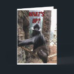 WAS IST AM BESTEN FÜR DEIN ALTER? ** 60.** BIRTHTA KARTE<br><div class="desc">AUF IHNEN AM ****60. BIRTHTAG***** EIN TEASE AUS DIESER GORILLA,  DIE WILL,  ZU WISSEN ***WAS IST AM BESTEN FÜR IHR ALTER?****</div>