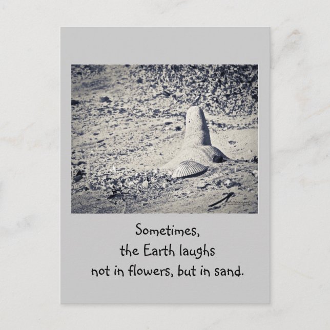 Was ist am Strand? Postkarte (Vorderseite)