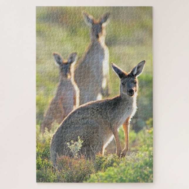WAS IST AUF! 20x30 INCH Puzzle (Vertikal)