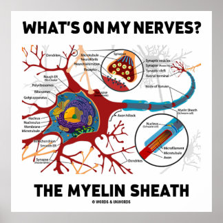 Was ist auf meinen Nerven? Myelin Sheath Poster