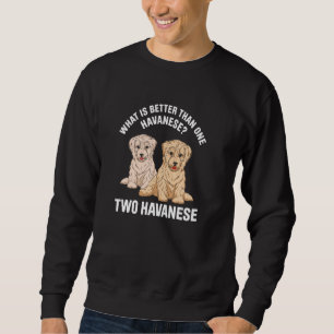 Was ist besser als ein Havanese zwei Havanese Owne Sweatshirt