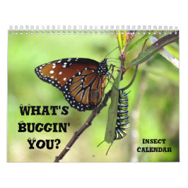 Was ist Buggin' You - Insektenkalender - Ausgabe 1 Kalender