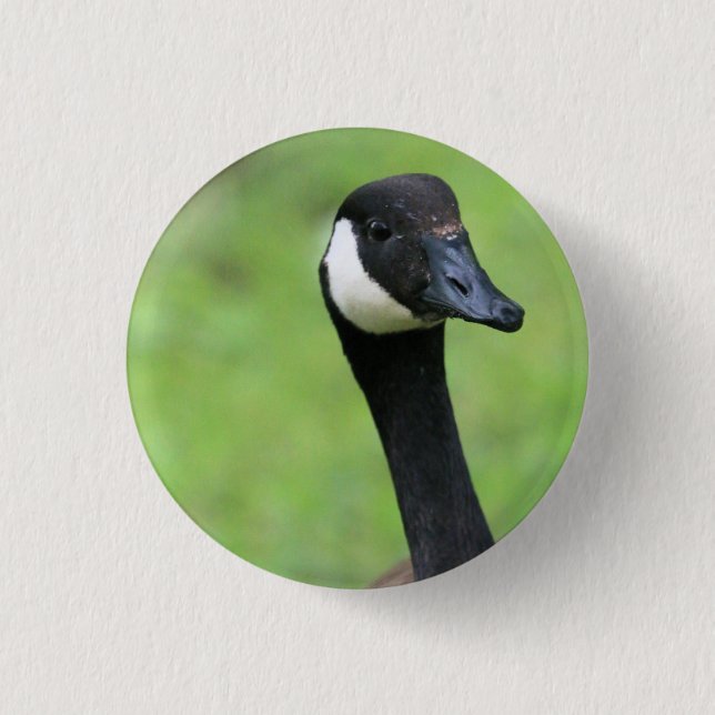 Was ist? button (Vorderseite)